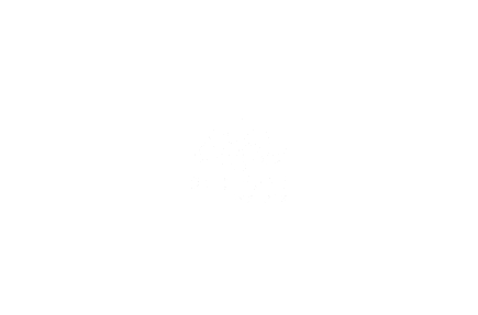 On Demand Systems logo