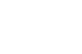 Penguin Solutions logo